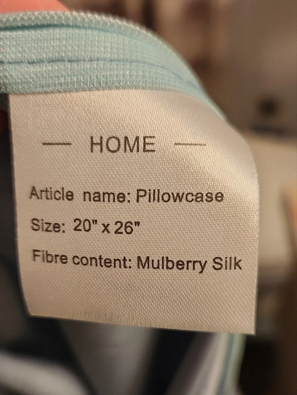 Mulberry Silk Pillowcases Set Of 2 Pale Blue Green